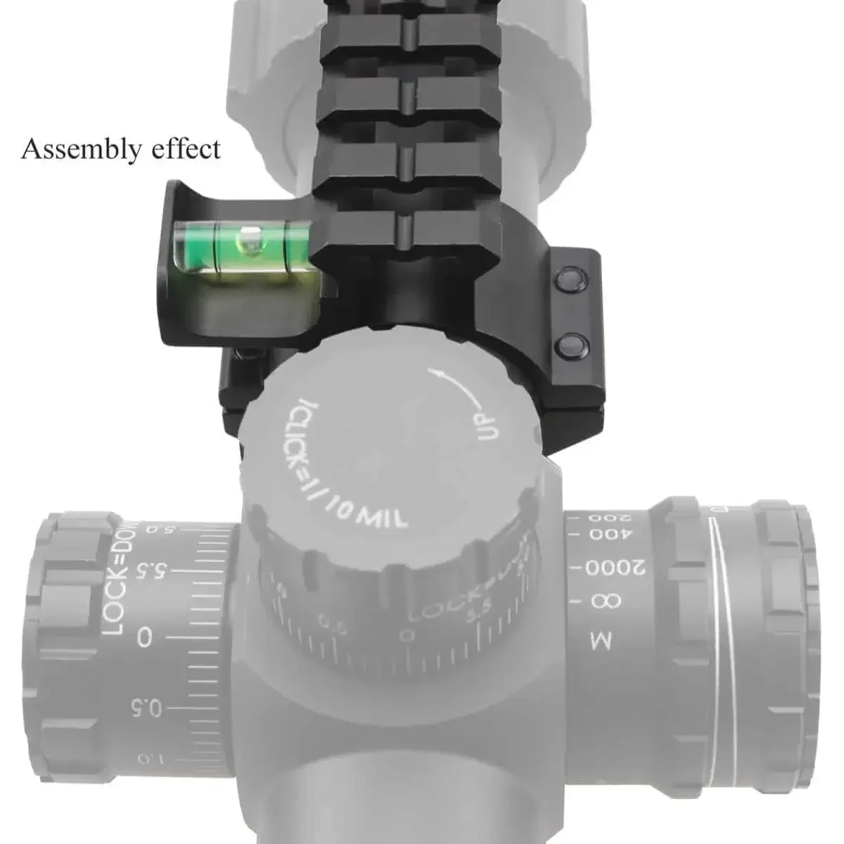 Vector Bubble Ring with Rail